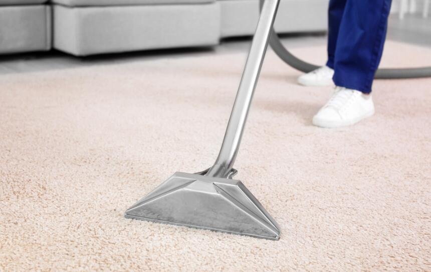 best steam cleaner for carpet and hardwood floors